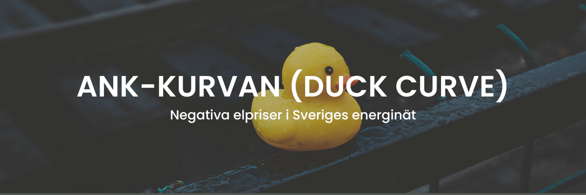 En gul anka på ett svart tak med regndroppar med texten "Ank-kurvan (Duck Curve) Negativa elpriser i Sveriges energinät"